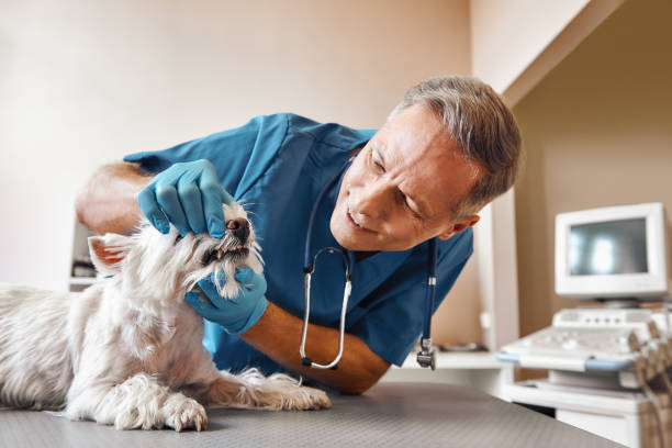 Best Emergency Root Canal Treatment in Lucedale, MS