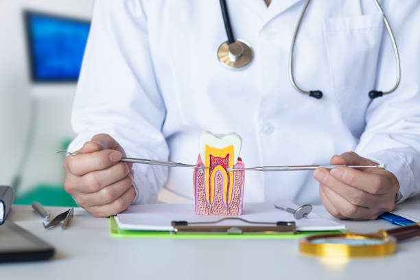 Best Emergency Orthodontic Repairs in Lucedale, MS
